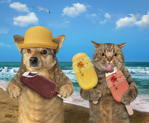 Cat and dog eat ice cream by sea