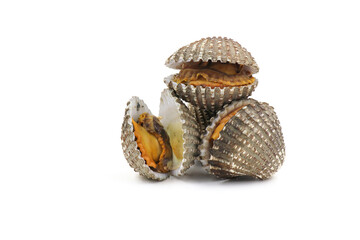 Fresh cockles on a white background. Natural seafood..