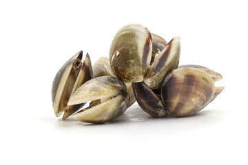 Closed up fresh baby clams, venus shell, shellfish, carpet clams, short necked clams, as raw food from the sea are the seafood ingredients. fresh clams isolated on white background.