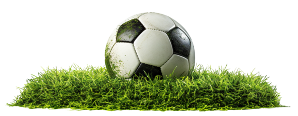 Soccer football ball on green grass, cut out