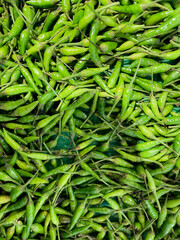 Green chilli peppers displayed on market, food background