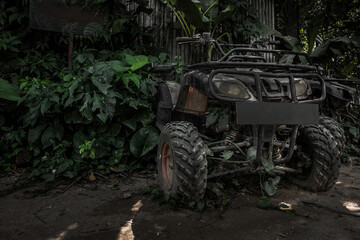 Fototapeta premium Old broken dirty military jeep crashed into a tree in jungle tropical trees and bushes