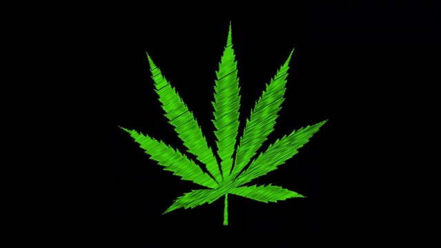 Hand-drawn scribble-style animation of Pulsating Cannabis Leaf on black background. Ideal for reggae-themed projects, cannabis culture content, and wellness, nature, and alternative lifestyles