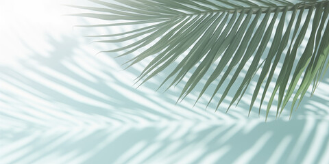 Obraz premium Elegant Summer Background with Palm Leaves and Shadows on Light Green Pastel Gradient, Perfect for Minimalistic Product Displays and Text Features