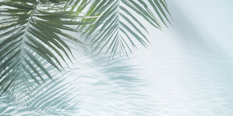 Elegant Summer Background with Palm Leaves and Shadows on Light Green Pastel Gradient, Perfect for Minimalistic Product Displays and Text Features