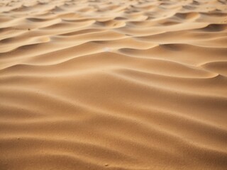 Copy space of sand beach texture abstract background