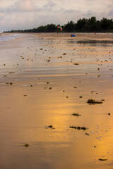 Golden coloured clouds at sunset reflecting on the wet sand of a Mozambique Beach.