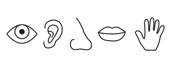 Five human senses icon set. Eye, nose, ear, hand, mouth with tongue sign. Sight, smell, hearing, touch, taste concept. Vector on isolated white background