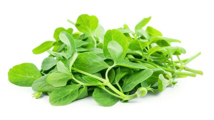 Obraz premium Snow pea shoot isolated white background