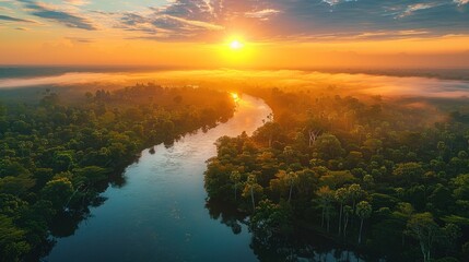 Fototapeta premium Sunrise Over Jungle River