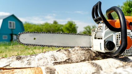 A man with a chainsaw cuts a birch tree