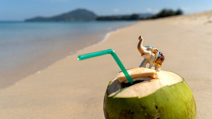 Elephant figurine on a sandy beach in the sunlight