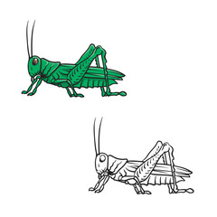 Cartoon grasshopper drawing with line art style. Simple design outline style. Easy to edit. Vector illustration