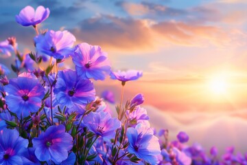 Tranquil sunrise over field of vibrant blue flowers