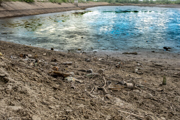 dry trees and various garbage remains on the edge of the dried lake