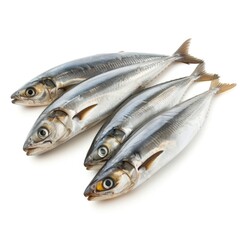 Fototapeta premium Herring isolated on white background