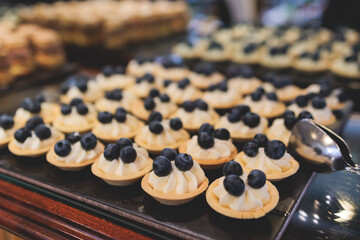 Beautiful multicolored decorated baked sweet tasty candy bar dessert selection with cake, pie and pastries selection, catering banquet table on kids children party, coffee break buffet at a conference