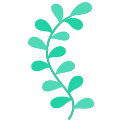 green seaweed cartoon 