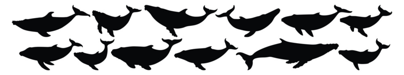 Whale silhouettes set, pack of vector silhouette design, isolated background
