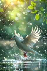 Fototapeta premium A white dove was flying over the water, spreading its wings and making ripples on the surface.