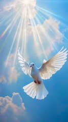 Fototapeta premium bird, dove, sky, pigeon, flying, blue, white, peace, wing, White doves fly in the air, sacred light shines down from above, blue background with white clouds, white feathers with light, pure and elega