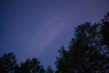 It is night, the sky is clear and we can see the sky in all its splendor from the forests of Estonia, the Milky Way offers us a spectacular and colorful view.