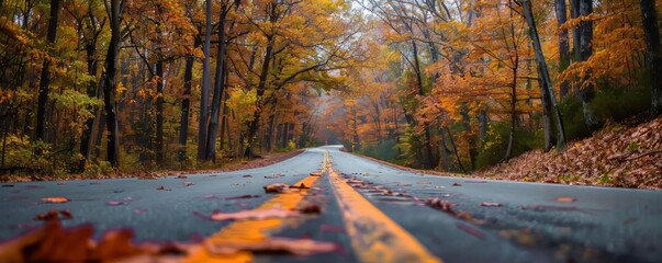 Hosting a fall foliage tour with friends, November 5th, scenic drives and autumn landscapes, 4K hyperrealistic photo.