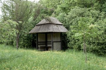 view of a thatched gazebo in a buttercup meadow