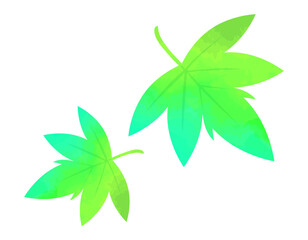 舞い落ちるもみじの葉のイラスト　　楓