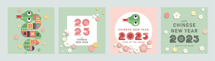 Happy Chinese New Year 2025. Chinese snake zodiac sign on green red background for card design. Chinese animal lunar calendar.