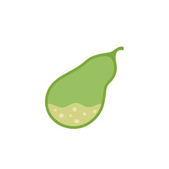 Gallbladder with stagnation of bile, cholestasis disease. Check health of gallbladder. Unhealthy, problems in gall. Vector flat illustration