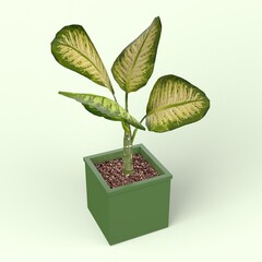 Diffenbachia Low-poly 3D model