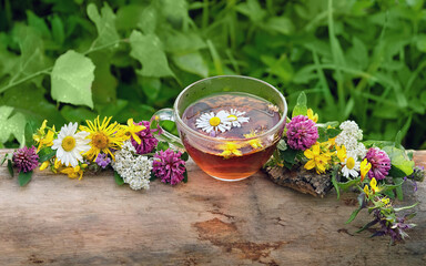 glass cup with herbal tea and wild useful flowers on tree trunk close up, natural background....