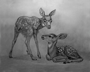 Fawn couple portrait