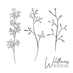 Fototapeta premium Set of line art wildflowers and grass illustration. Handdrawn botanical contour outline of for wedding, invitation, save the date, card. Trendy elegant greenery collection for web, print, posters.