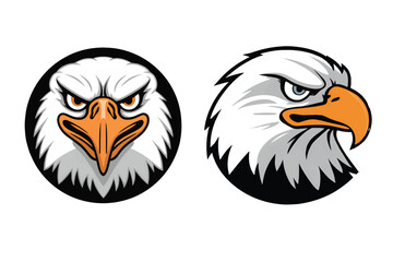 Obraz premium angry looking eagle, only eagle's face