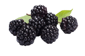 Fresh blackberries with leaves on a white background. Perfect for culinary, health, and natural food themes.