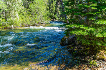 Obraz premium Chinook Pass Cold Stream 4