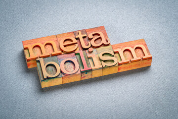 metabolism - word abstract in vintage letterpress wood type printing blocks, health and physiology concept