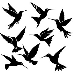 Hummingbird flying SVG , Hummingbird flying Vector Silhouette  illustration