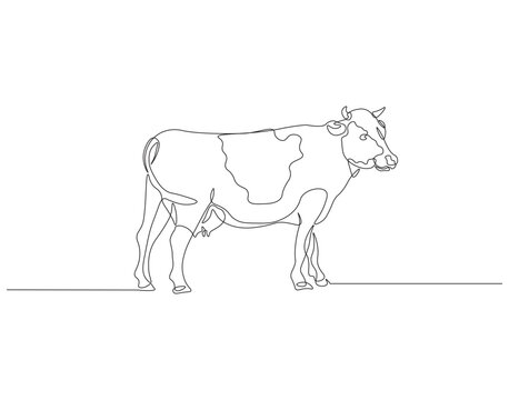 recommend clip art: Continuous one line drawing of cow. One line drawing illustration of livestock cattle. Livestock concept continuous line art. Editable outline.