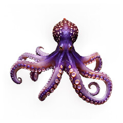 Fototapeta premium Octopus isolated on white or transparent png, purple.