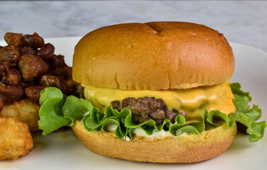 cheese burger tater tots top with chilli