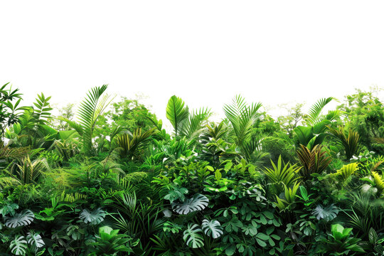Lush green tropical foliage background, featuring a variety of vibrant leaves and dense vegetation perfect for nature-themed designs and projects.