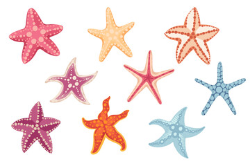 Set of colorful simple starfish vector illustration isolated on white background