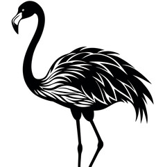 Fototapeta premium flamingo silhouette vector illustration Design on white background