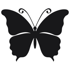 A silhouette of a butterfly with intricate wing patterns