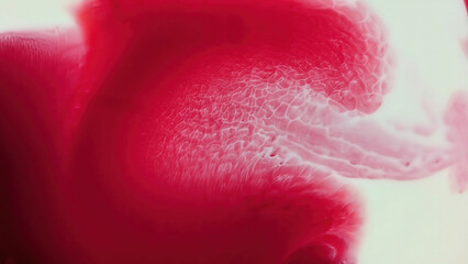 Fototapeta premium Abstract paint background. Acrylic paint texture, liquids mix. Creative multicolor background. Bright colors fluid, flowing wallpaper design. Colors pigments