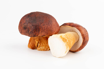Bay bolete. Edible mushrooms (Boletus badius) isolated on white background with clipping path. Package design element. Wild forest mushrooms