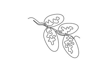 Continuous one line drawing stack healthy organic sweet fruit dates for orchard logo identity. Saudi Arabia fruitage concept for fruit garden icon. Single line draw design vector graphic illustration